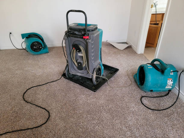 Best Commercial water damage restoration  in Milford, OH