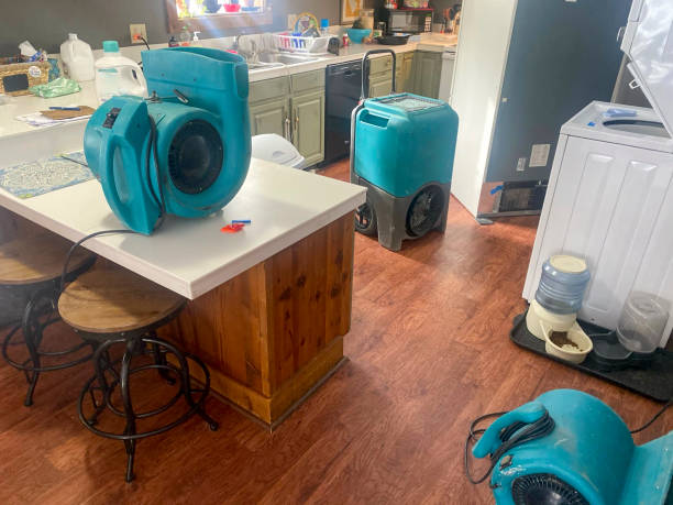 Best Water damage restoration near me  in Milford, OH