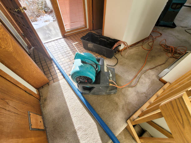 Best Ceiling water damage repair  in Milford, OH