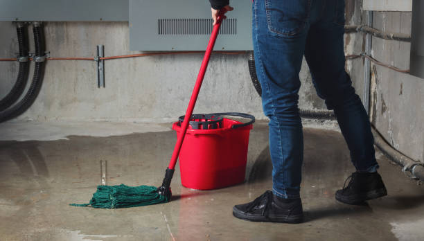 Best Flood restoration services  in Milford, OH