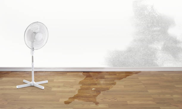 Best Emergency water damage restoration  in Milford, OH