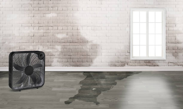 Best Ceiling water damage repair  in Milford, OH