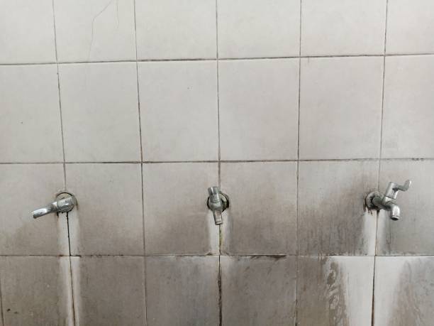 Best Sewage cleanup and water damage restoration  in Milford, OH