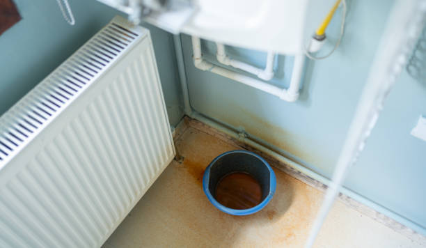 Best Water damage cleanup near me  in Milford, OH