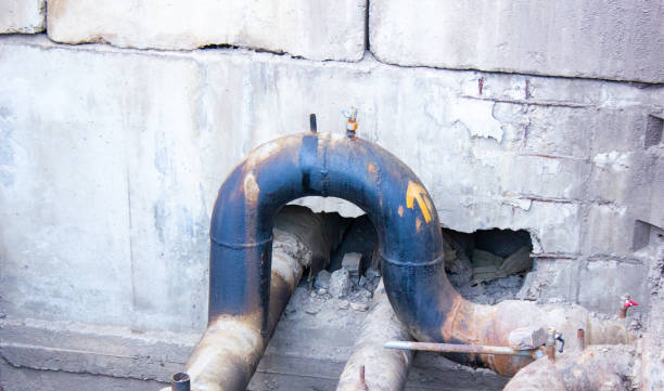 Best Carpet water damage restoration  in Milford, OH