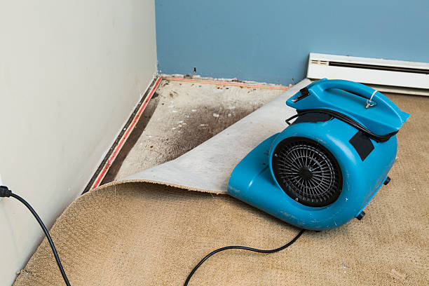 Best Basement water damage restoration  in Milford, OH